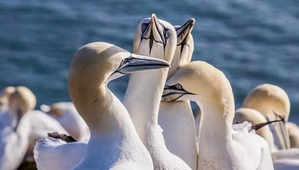 嘉兴高价上海医保提取2025的最新政策(2025年嘉兴上海医保怎么提取现金分享)