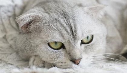 嘉兴高价特别缺钱想提取养老金怎么办呢的最新政策(2025年嘉兴高价特别缺钱想提取养老金怎么办呢视频分享)