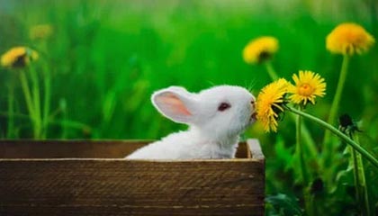 嘉兴高价上海医保提取2025的最新政策(2025年嘉兴上海医保怎么提取现金分享)